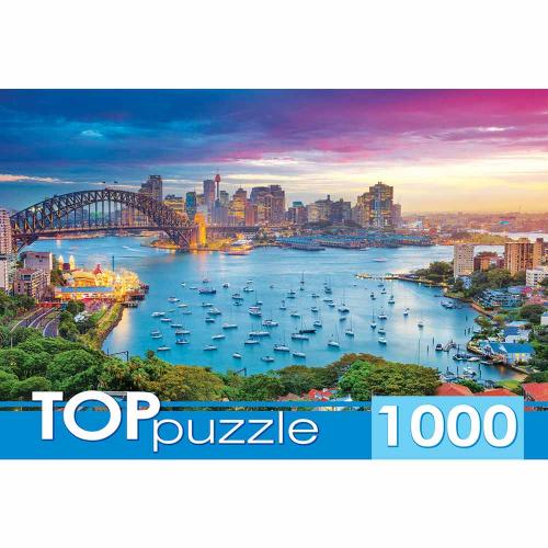 Пазлы Австралия Сидней TOPpuzzle Рыжий кот ГИТП1000-2156 